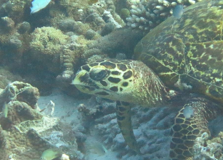 2e25001f-4b15-44b7-bdd9-992f20b87ff5