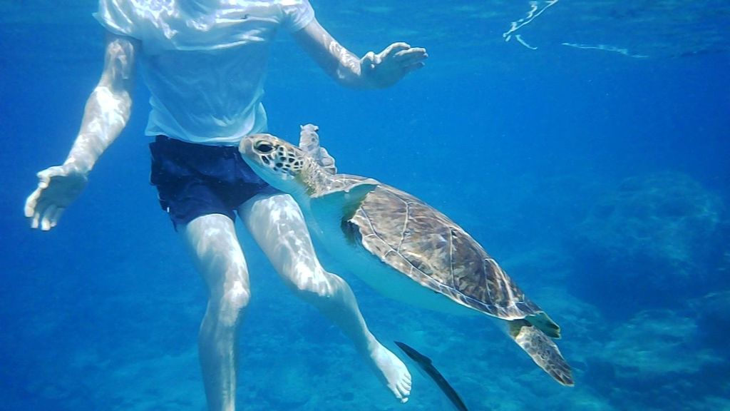 af9e3d9d-d904-484b-b427-3f12a54da736