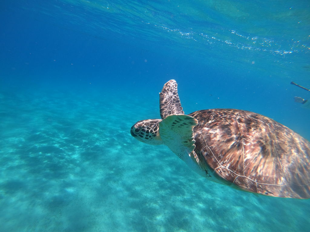 efdda73e-e395-4ac9-a10f-92978a30bdab