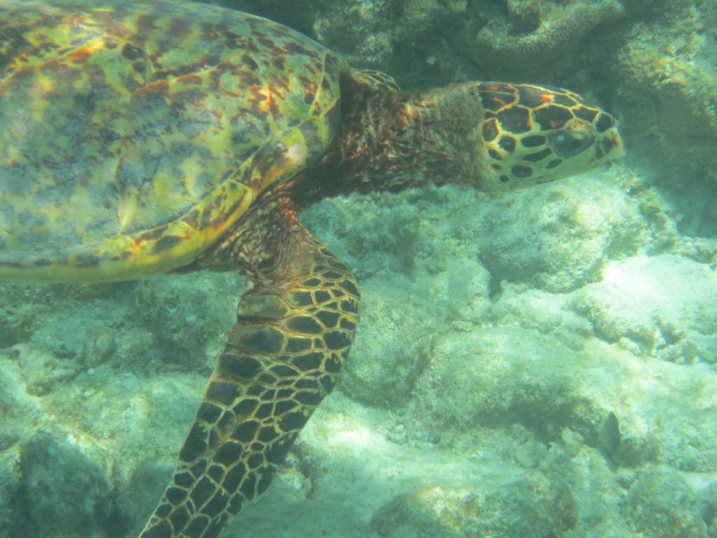 969959da-a6bb-4b90-a7b9-464c8cbcaece