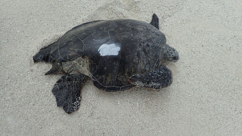 13146873-6a53-4ee2-b9b1-8938a10730e7