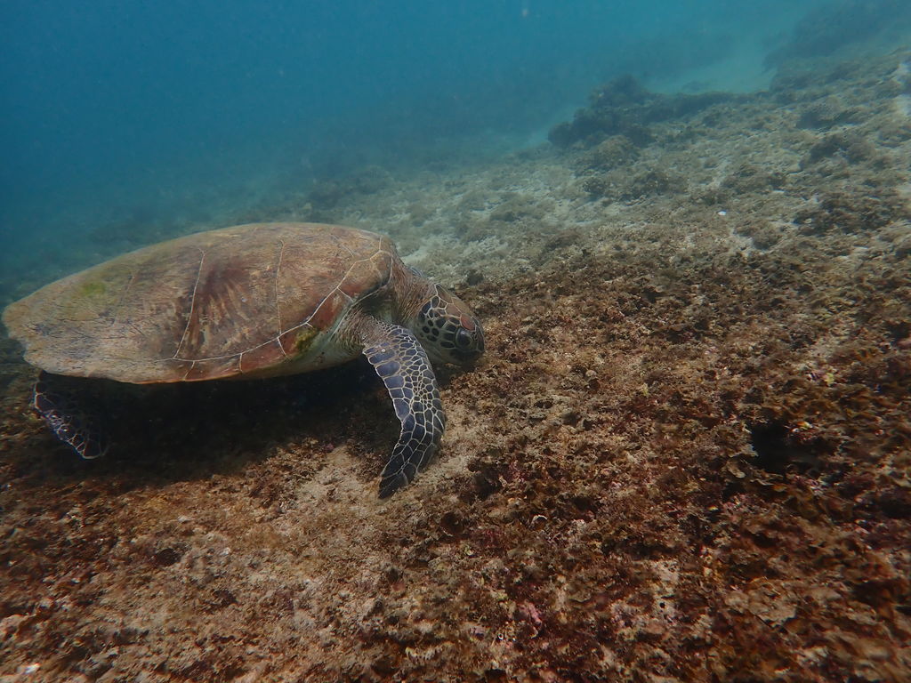 5bbc6b9f-a09a-4c5d-ab32-53a7fcca932a