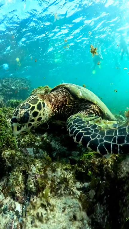 0d65a51a-dad1-4fc8-b8b5-76f36669a6e9