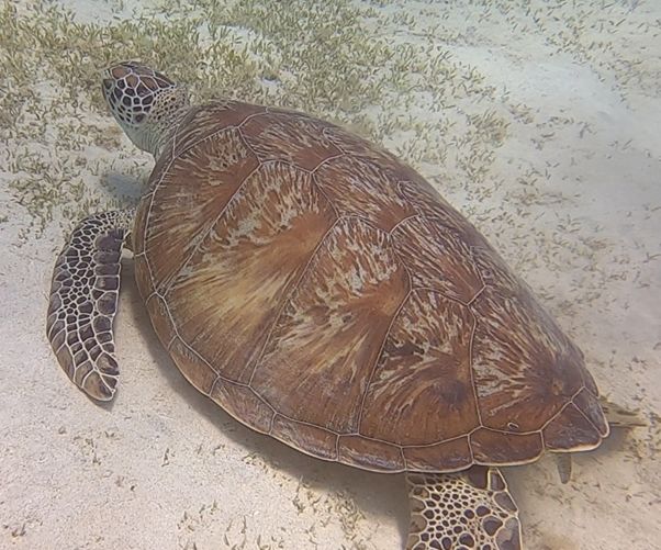 ba72692f-bad5-48b4-8b6c-a7b66a09e225