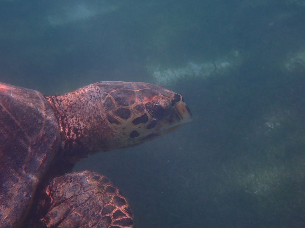 81774604-48f7-4b85-b8fd-a5a84530f3a2