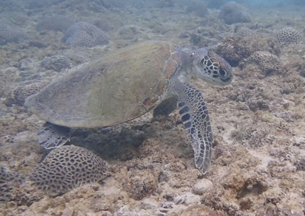 fa6540ad-138b-4038-8c64-8d88987617a2