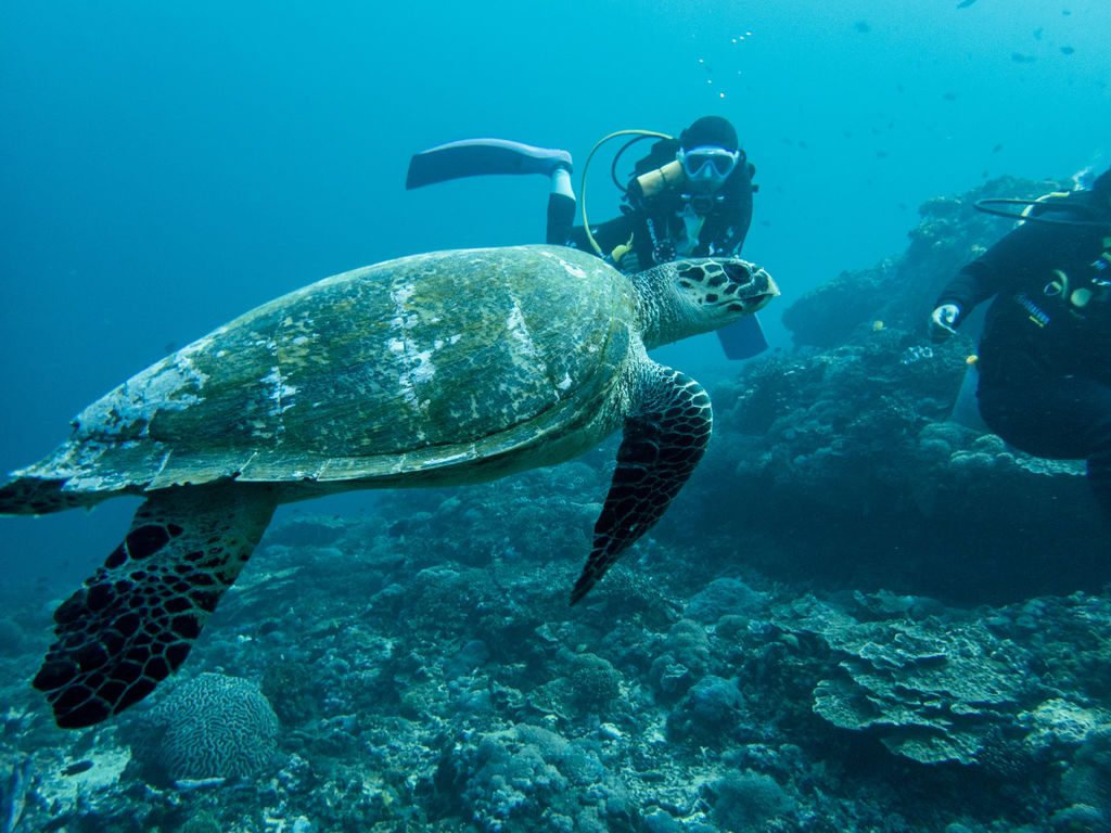 6969c750-1691-49bb-a5e6-f9c55309f845