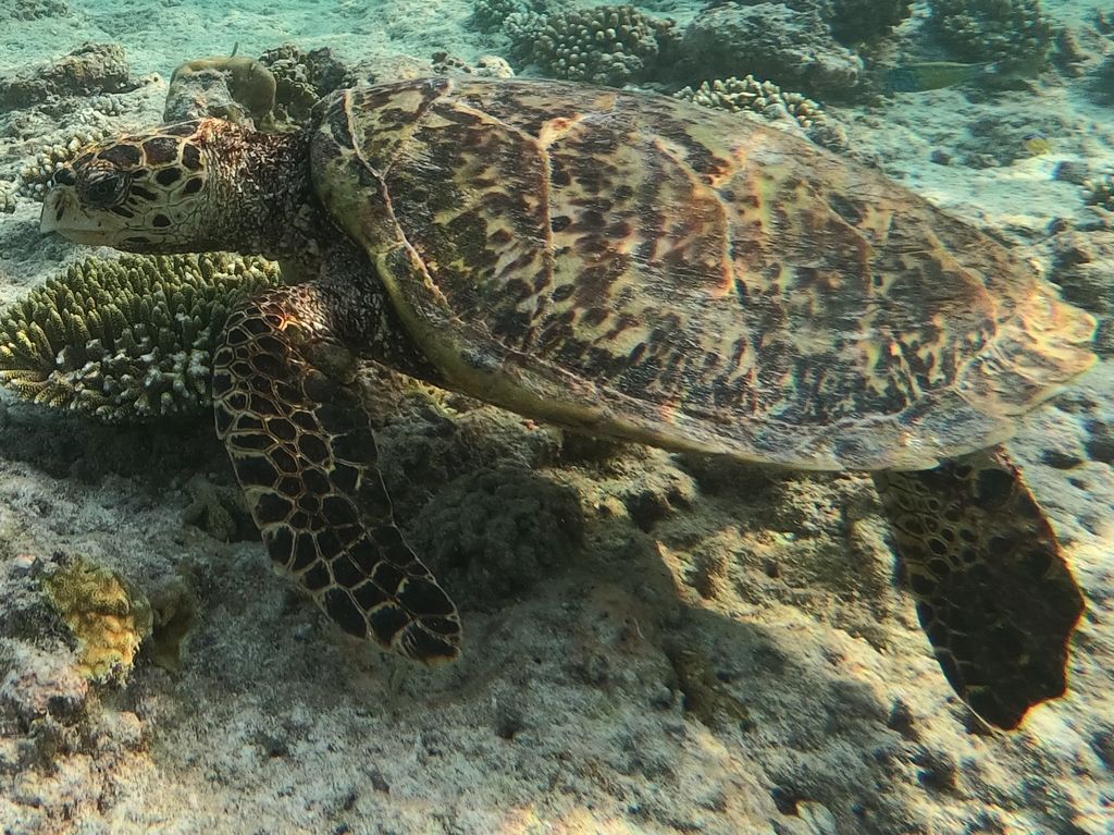 d155456a-a455-4a5d-9738-3b8b03ecbab7