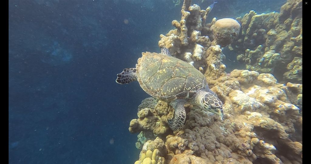 bd5a1fa3-2ef5-4113-836e-e6e4ced813fa