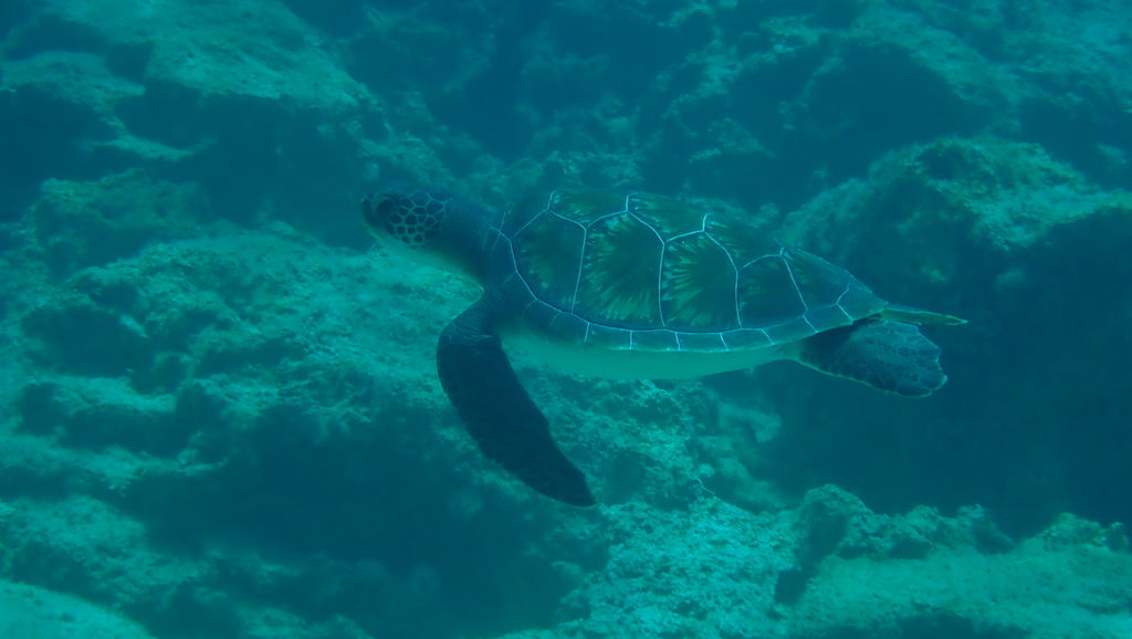 9ca4d04e-9af1-41cd-89c0-1d187aa43c4b