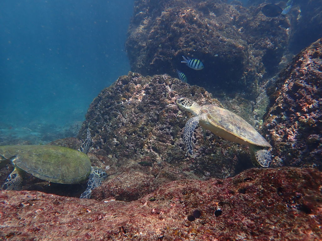 ca3057a0-383c-4362-9e26-63eb9a12fc61