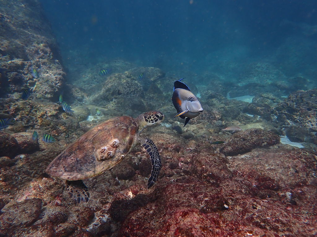 ca3057a0-383c-4362-9e26-63eb9a12fc61