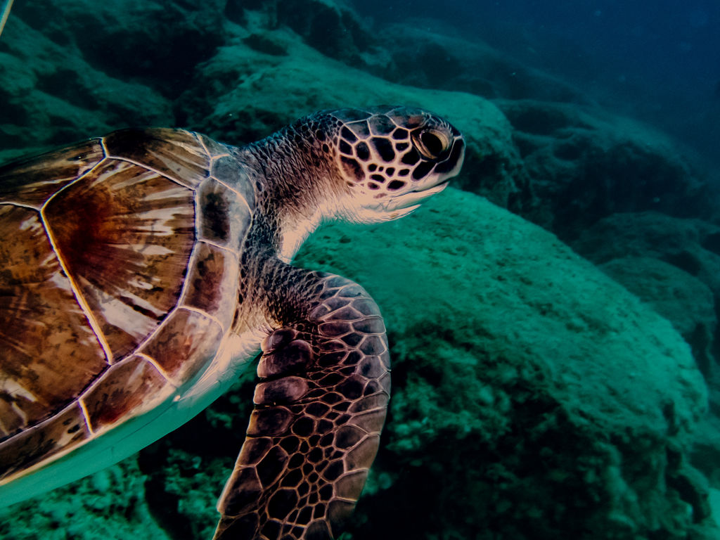 80c8eeb8-4d6b-4a2f-b15e-2ebc9887542d