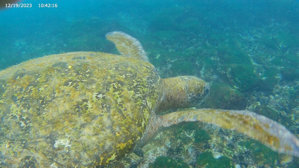 49a24a7f-cd4b-4563-ba28-7875b0088765