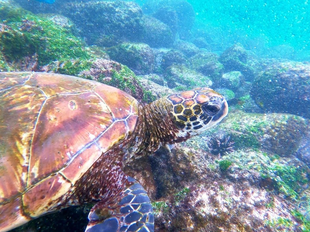 59376270-6b4f-42a3-94a1-75d96d8082b7