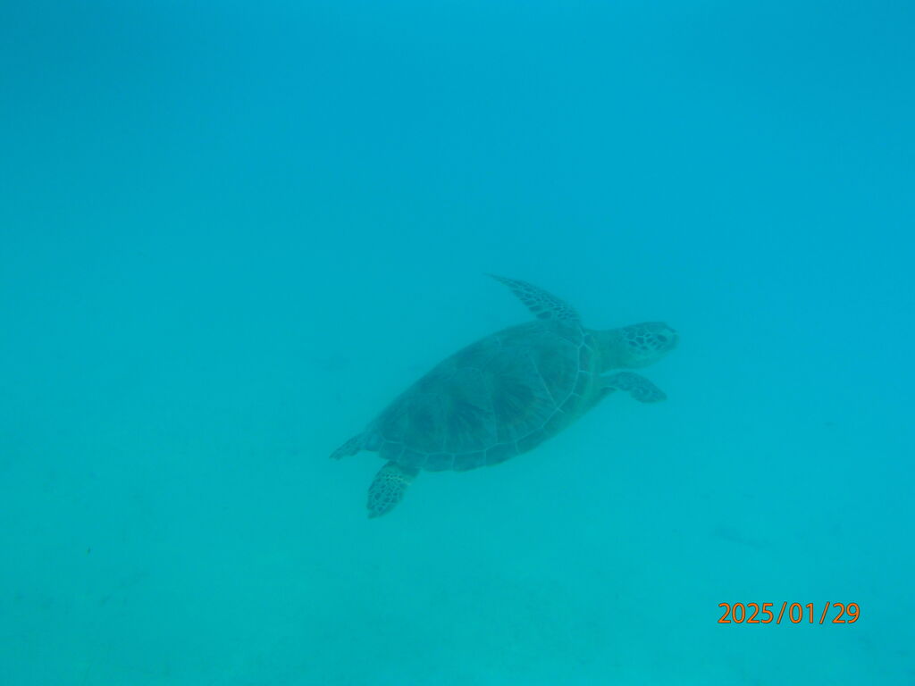 f45dcfc9-bcb2-4e34-a8d1-571e90452017