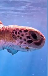 a59a4e4b-9eee-4c1d-83a1-63ccdc1e4d2a