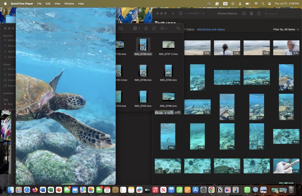 59376270-6b4f-42a3-94a1-75d96d8082b7