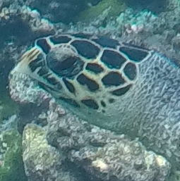 4044146b-cf4a-4cb5-b1c5-e2f95830c40d