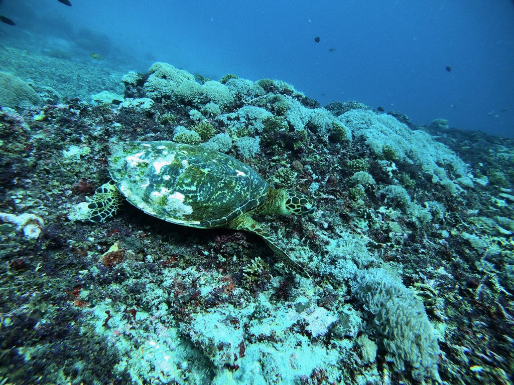 f8faac04-a14e-45d7-8a16-ef27af888381