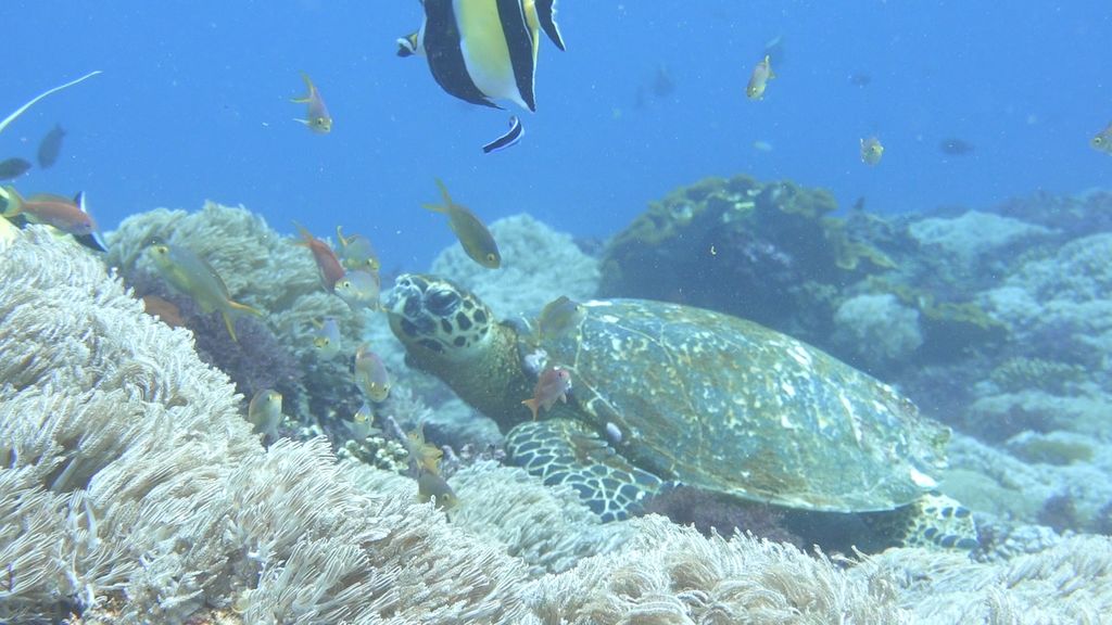 f8faac04-a14e-45d7-8a16-ef27af888381