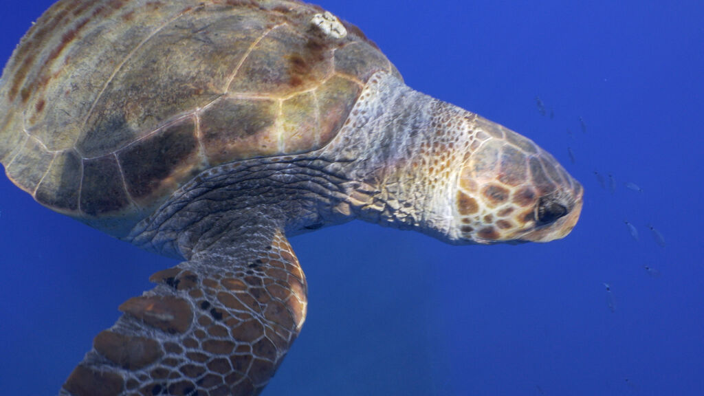 80477165-8498-48ab-a86b-b1e1880b1231