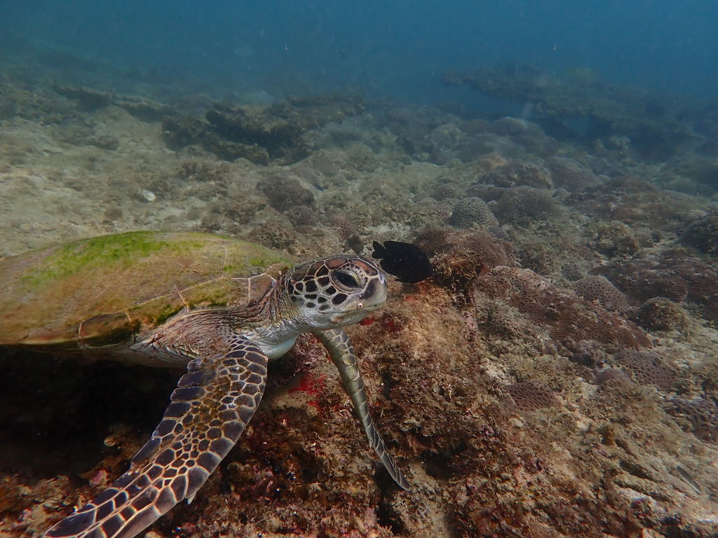 f2dfaff9-a54c-4a4a-b9b1-4428b5825d1e