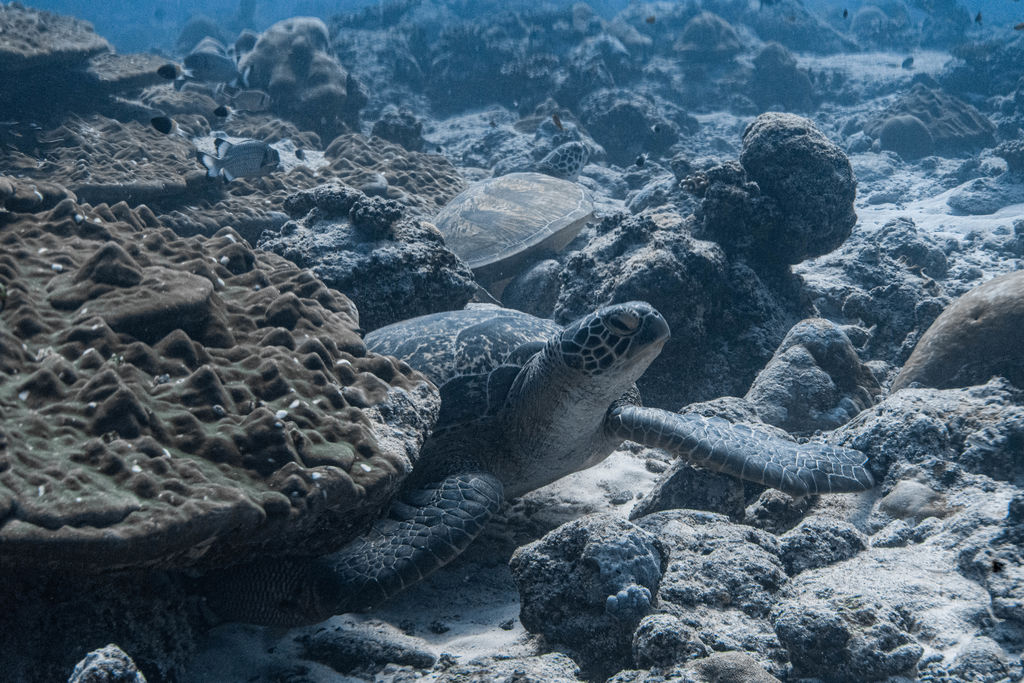 c8740ff6-8ee3-4d6c-b544-3d9a4acdcf86