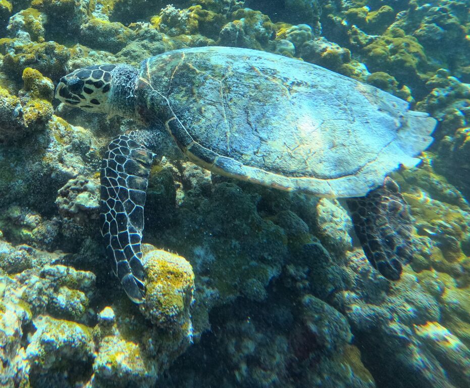 0c0cfeba-133a-48e8-b8c2-1470f8c70053