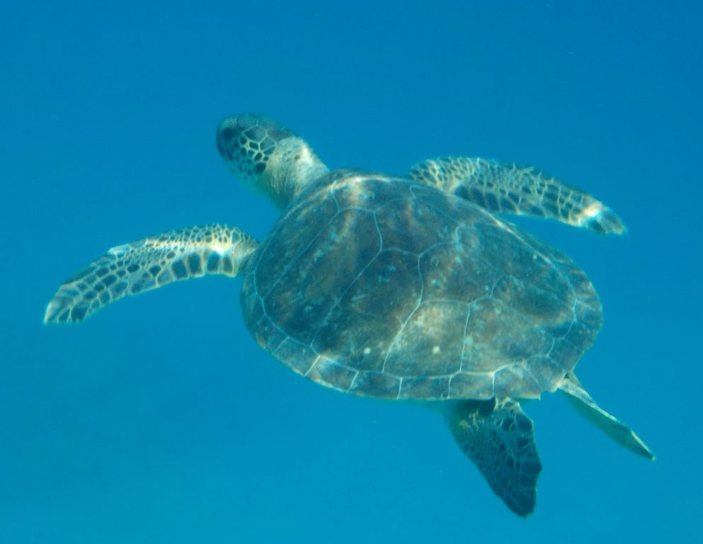 0893d2e8-c874-4c71-b962-5ec6144d8e7b