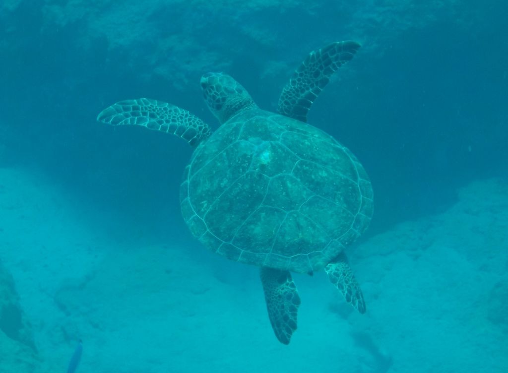 0893d2e8-c874-4c71-b962-5ec6144d8e7b