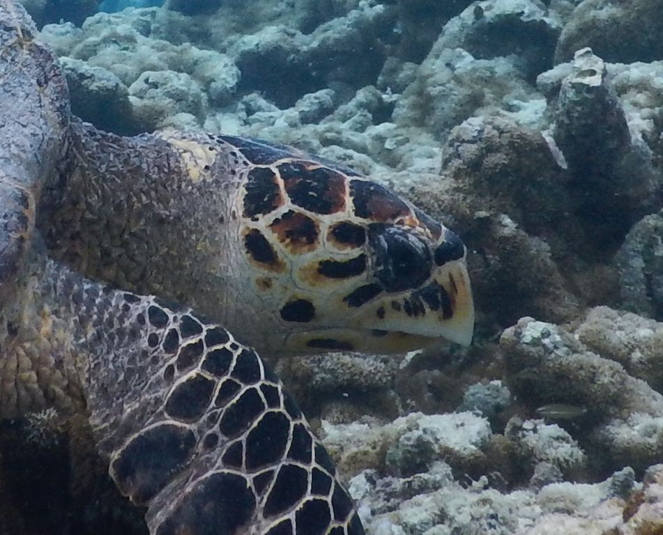 6242188e-4c7a-43e1-96e0-7df118f86a3a