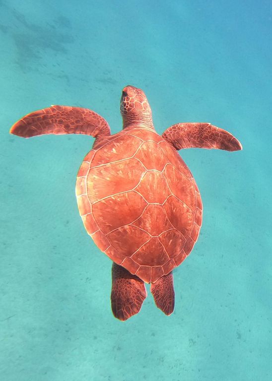 036cfe70-bcbb-4ae1-81eb-e0d5f6575de9