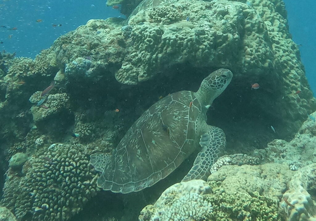 ce25f86f-aac2-49b9-8192-74326e8c3ac7