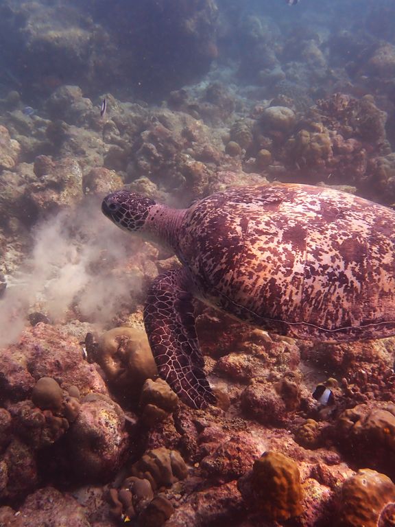 3cb84f18-fdaa-4b5e-b0a3-d73fdb41fda4