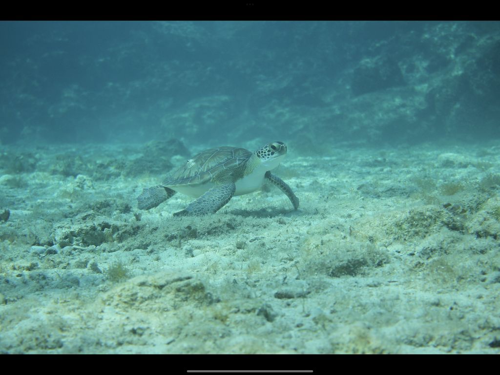 36191349-057f-4176-9e28-c085d5dd99a4