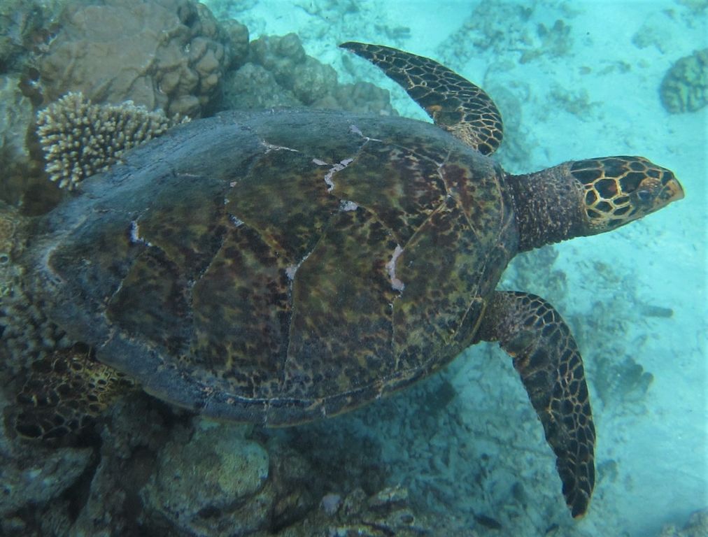 0d25dc22-eb09-460d-937f-0a5f4f71f8e8