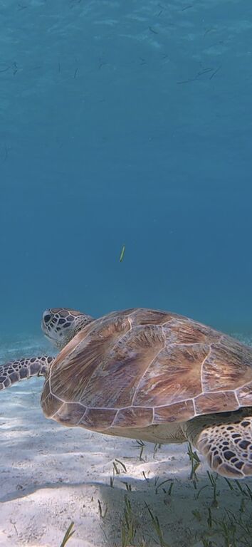 f45dcfc9-bcb2-4e34-a8d1-571e90452017