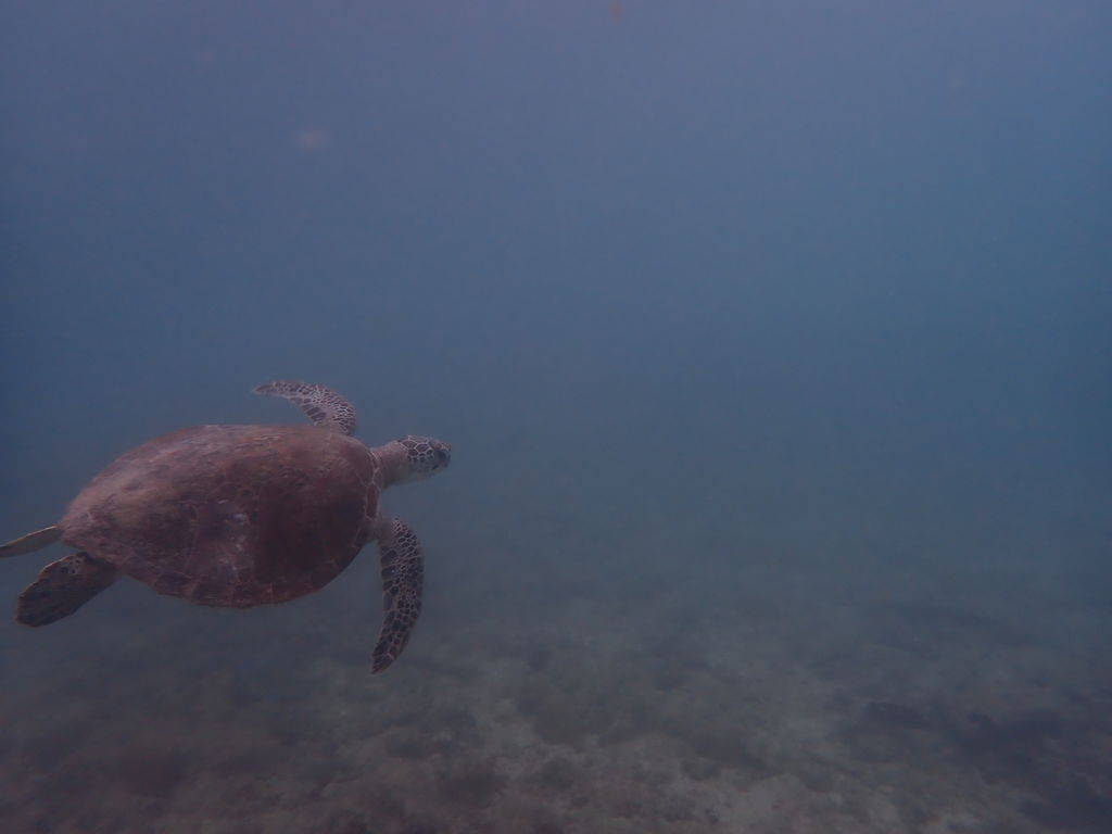 03a64a09-dbaf-4de4-8452-36dff5eef5c9