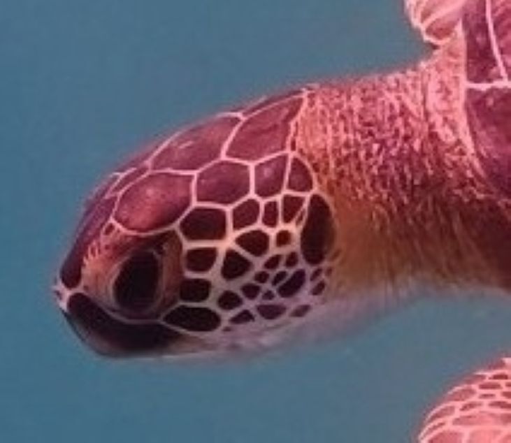 ec4ddaf4-5296-4644-93a9-b6499c55904a