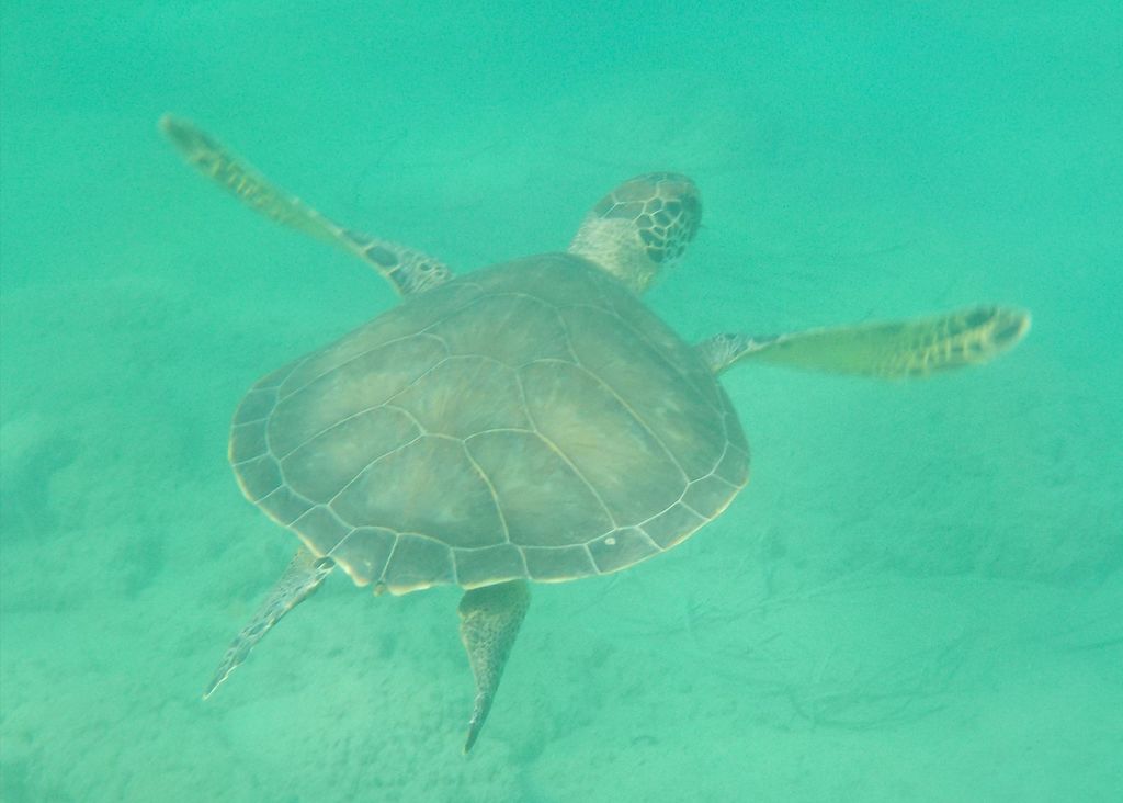 5960fceb-511a-4ec3-b2c9-0b34e532d103