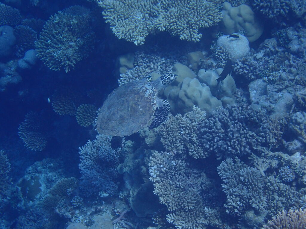 88ef67a1-c654-4632-a7e5-ec306695b4df