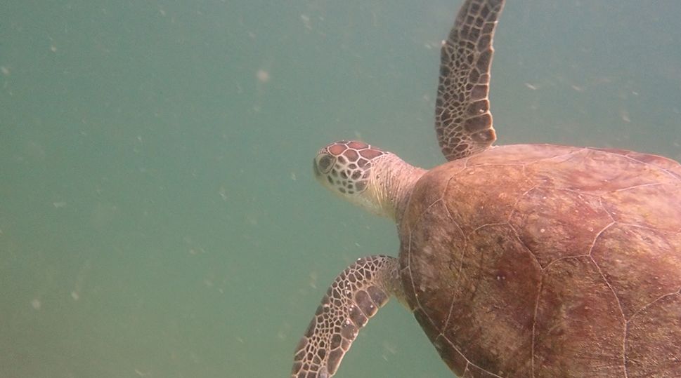 ea660ee7-f223-4719-97ab-30e808e582ab