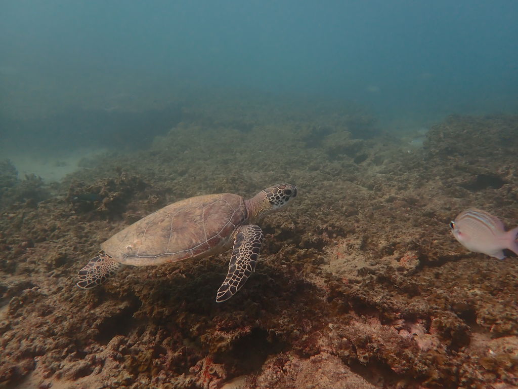 8499db2e-2b99-4094-844f-44f4c3f4e0f8