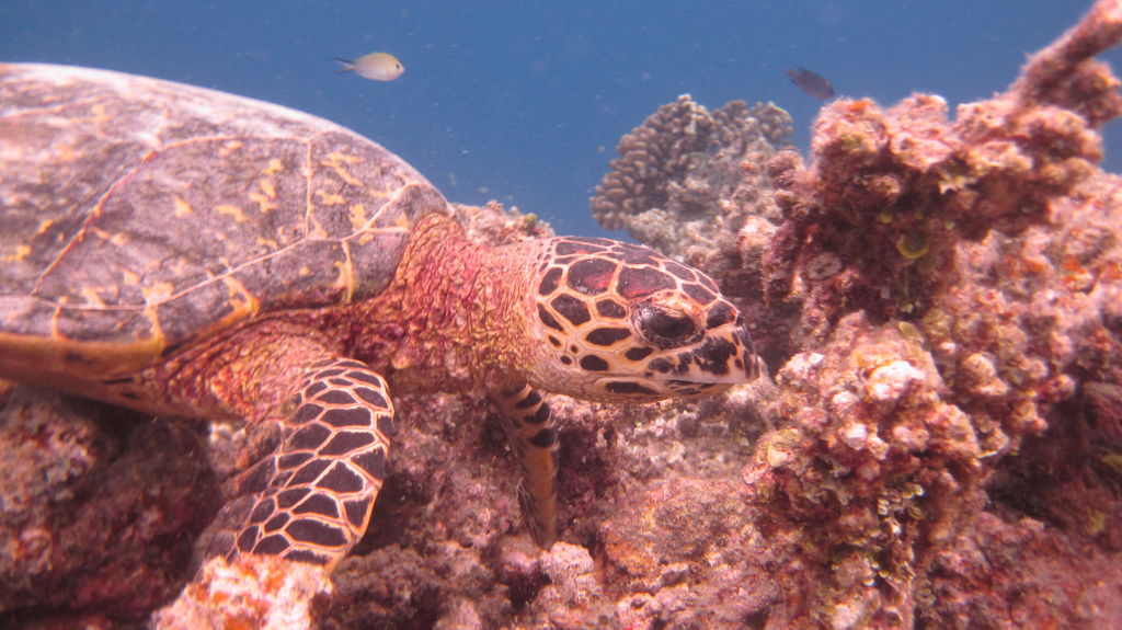 ae7454e0-4949-4efc-b2cb-38127360450f