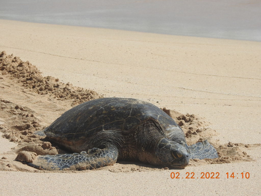 c33b386e-3dc1-451d-8c6a-f0e20ceb21d2