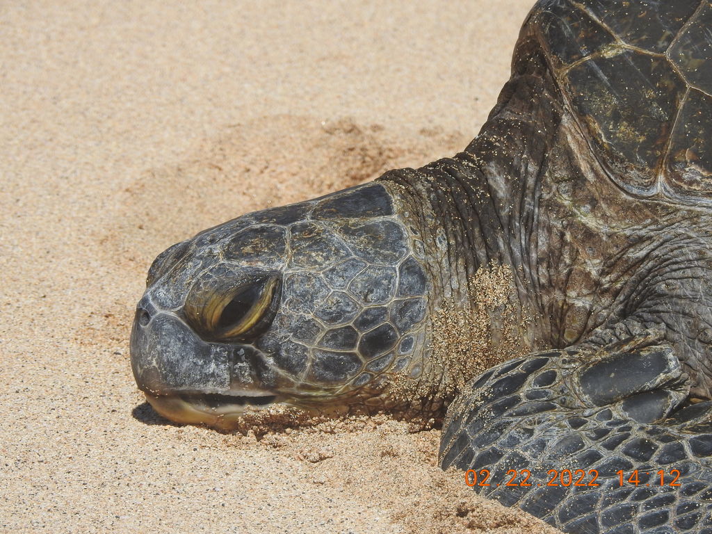 c33b386e-3dc1-451d-8c6a-f0e20ceb21d2