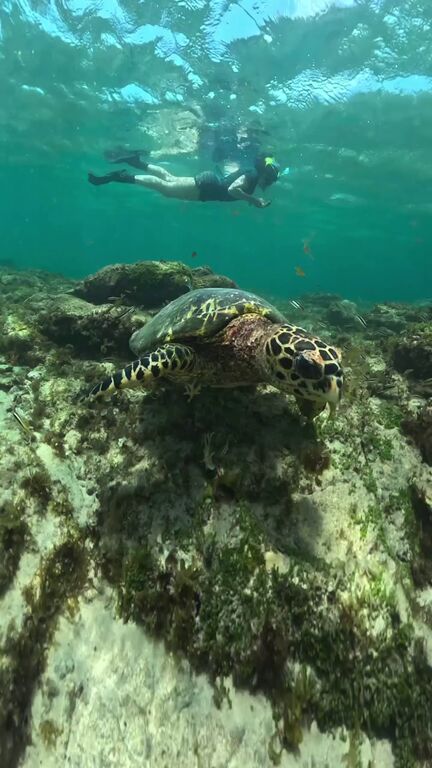 0d65a51a-dad1-4fc8-b8b5-76f36669a6e9