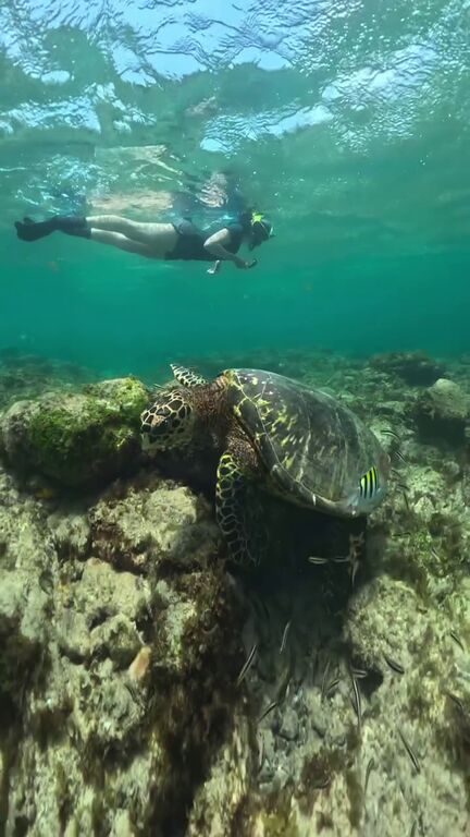 0d65a51a-dad1-4fc8-b8b5-76f36669a6e9