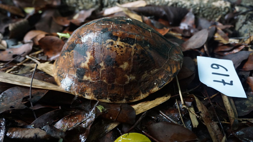 05afde1a-d338-45d6-96e5-3f9b413bef80